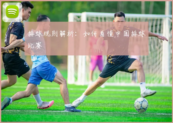 排球规则解析:如何看懂中国排球比赛