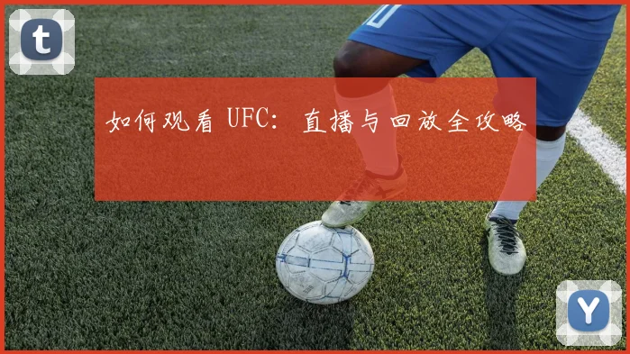 如何观看 UFC:直播与回放全攻略