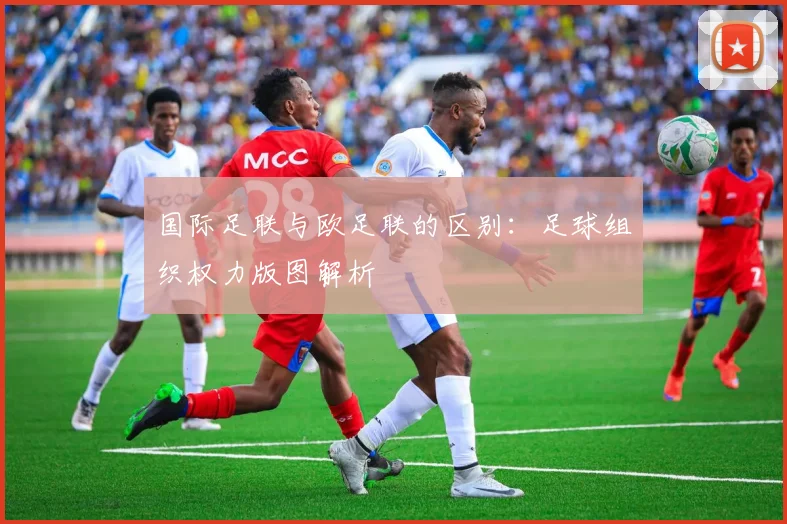 国际足联与欧足联的区别：足球组织权力版图解析